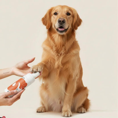 Between Baths Dry Shampoo: No Wash Needed!