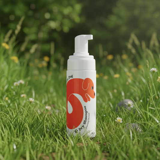 Between Baths Dry Shampoo: No Wash Needed!