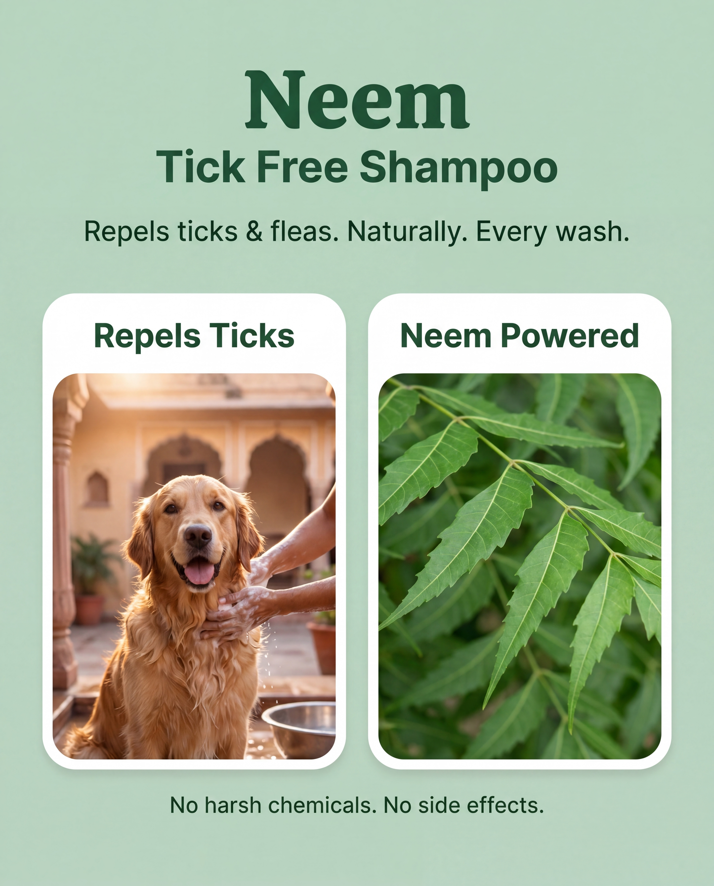 NO TICKS Neem Shampoo - BIG 1 LITRE