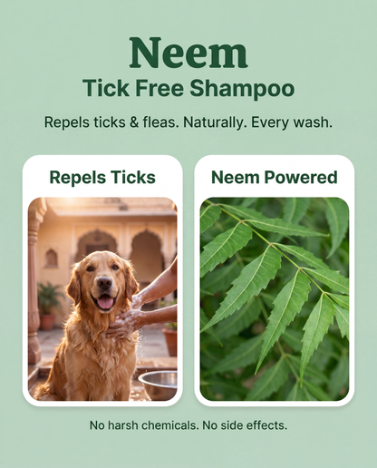NO TICKS Neem Shampoo - BIG 1 LITRE