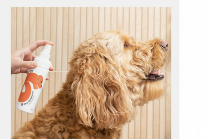 Between Baths Dry Shampoo: No Wash Needed!