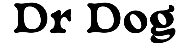 Dr.Dog